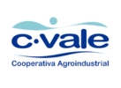 C-Vale